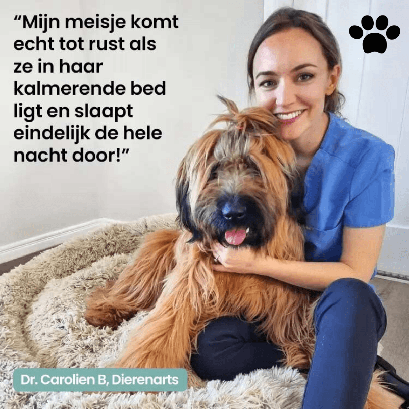 Pawsome Pillow | een mand die zorgt voor een gezonde en rustgevende slaap