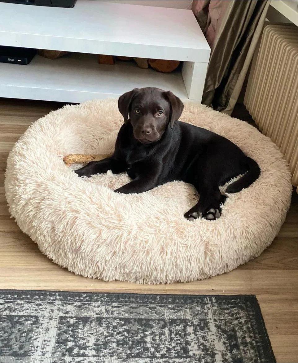 Pawsome Pillow | een mand die zorgt voor een gezonde en rustgevende slaap
