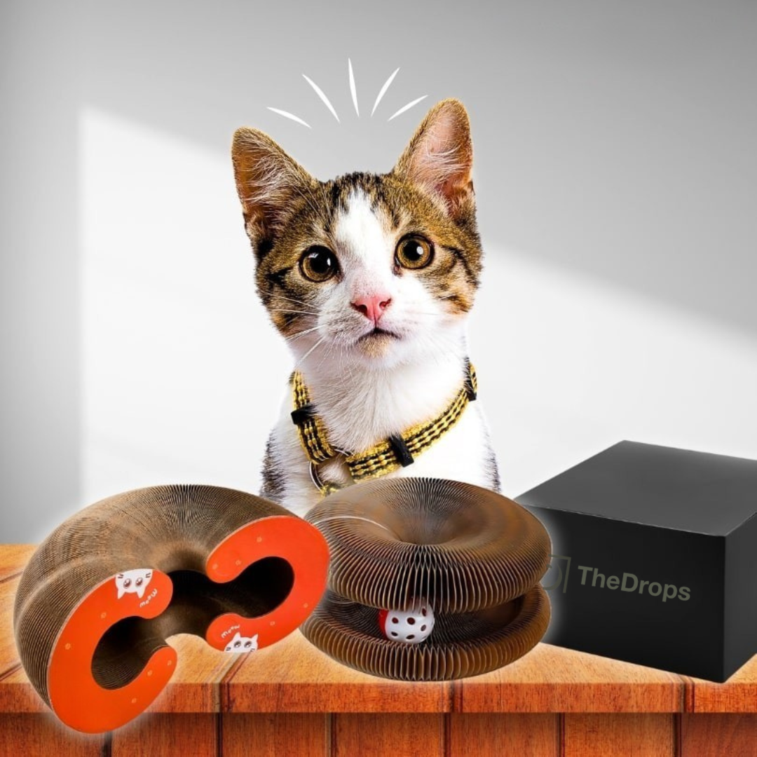 Cattycurl – Het Ultieme Speelgoed voor Actieve Katten